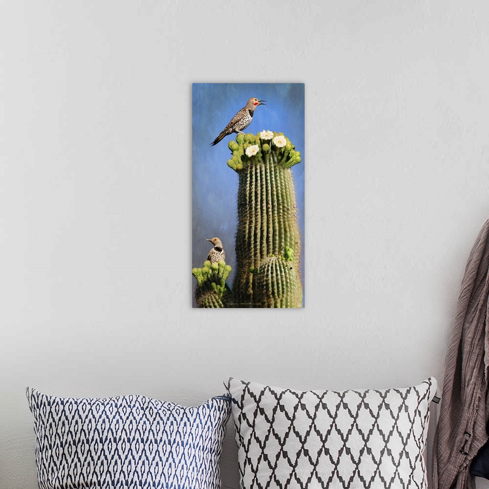 A bohemian room featuring Contemporary artwork of a flicker perched on a desert cactus.