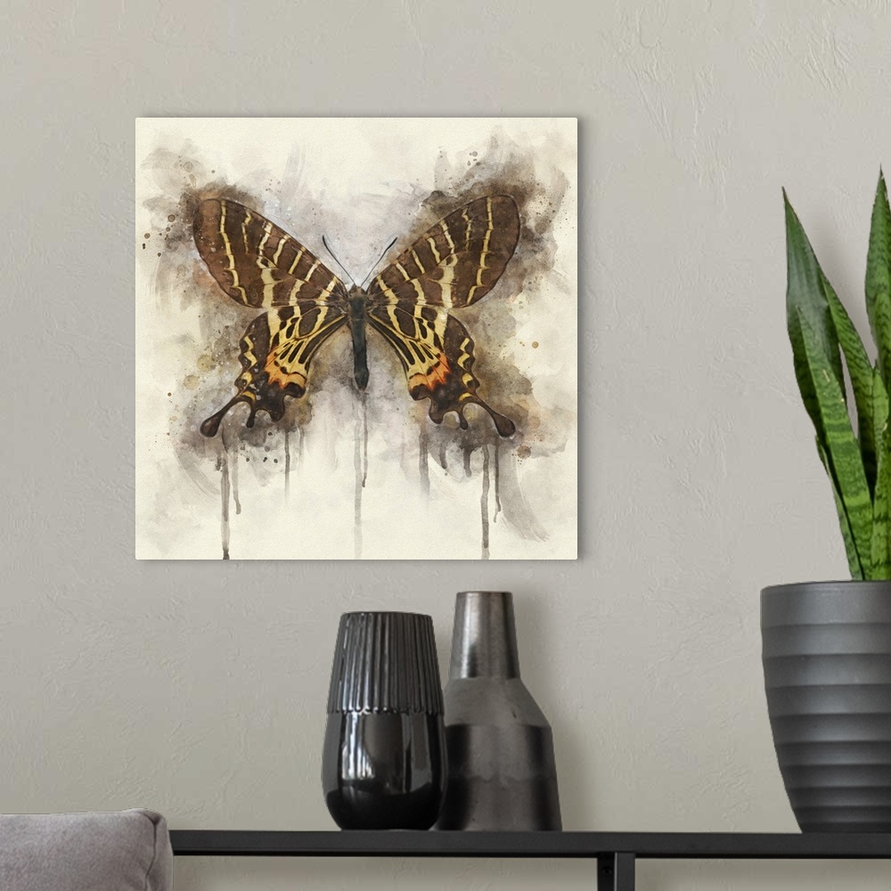 A modern room featuring A brown butterfly with yellow and orange markings with wings spread.