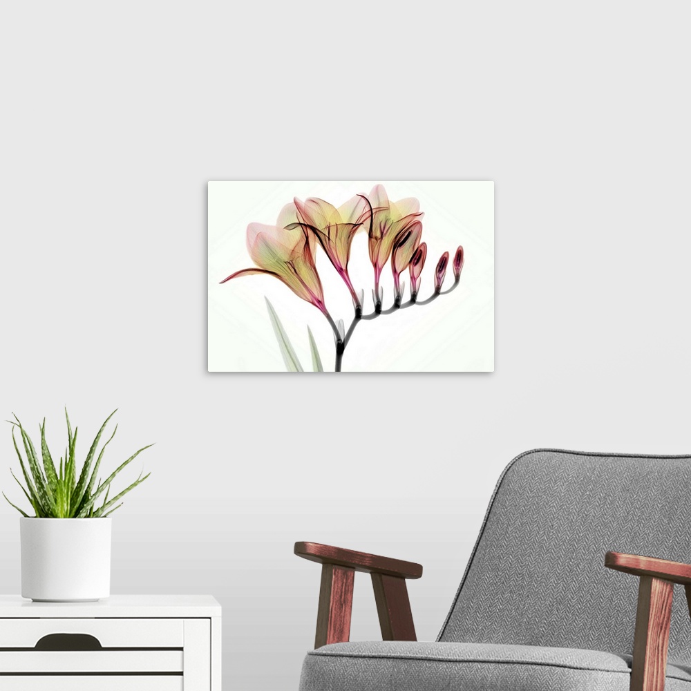 A modern room featuring Fine art photograph using an x-ray effect to capture an ethereal-like image of freesias.