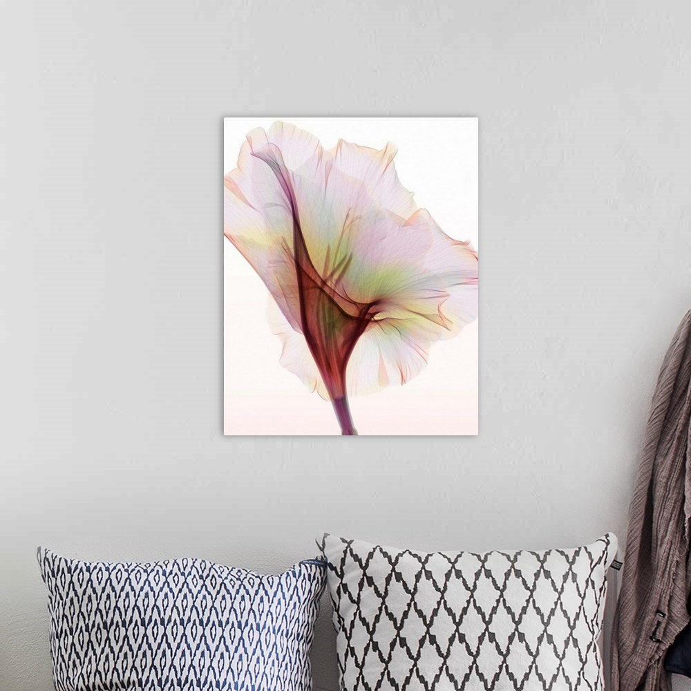 A bohemian room featuring Fine art photograph using an x-ray effect to capture an ethereal-like image of a gladiolus.