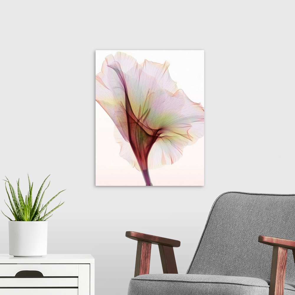 A modern room featuring Fine art photograph using an x-ray effect to capture an ethereal-like image of a gladiolus.