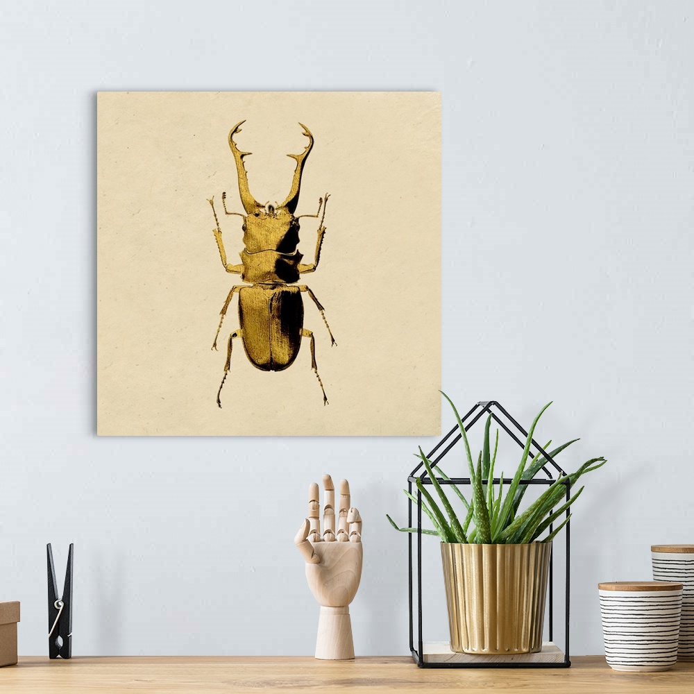 A bohemian room featuring Hot summer day for a stag beetle in West London, United Kingdom.