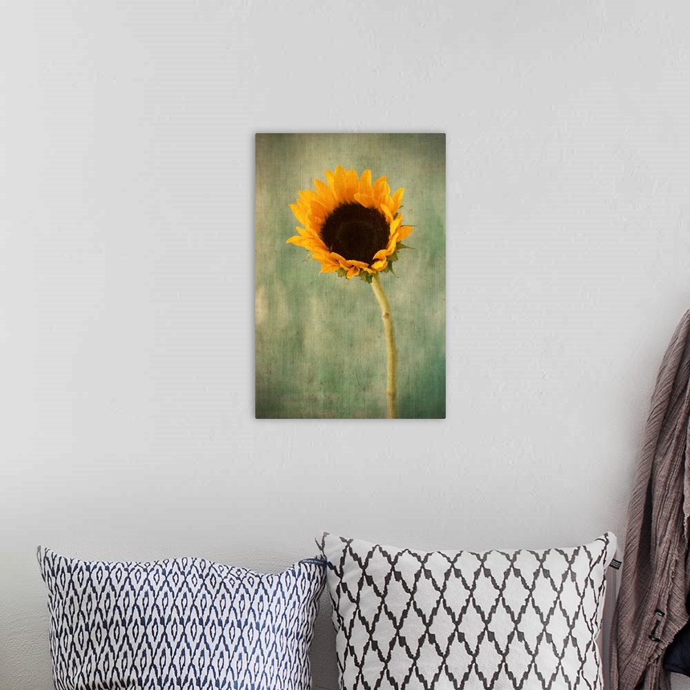 A bohemian room featuring Golden Sunflower