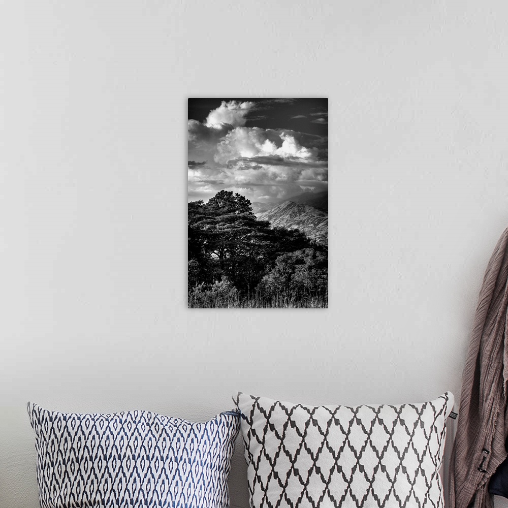 A bohemian room featuring Black and white photograph of dramatic clouds hanging over a mountain peak.