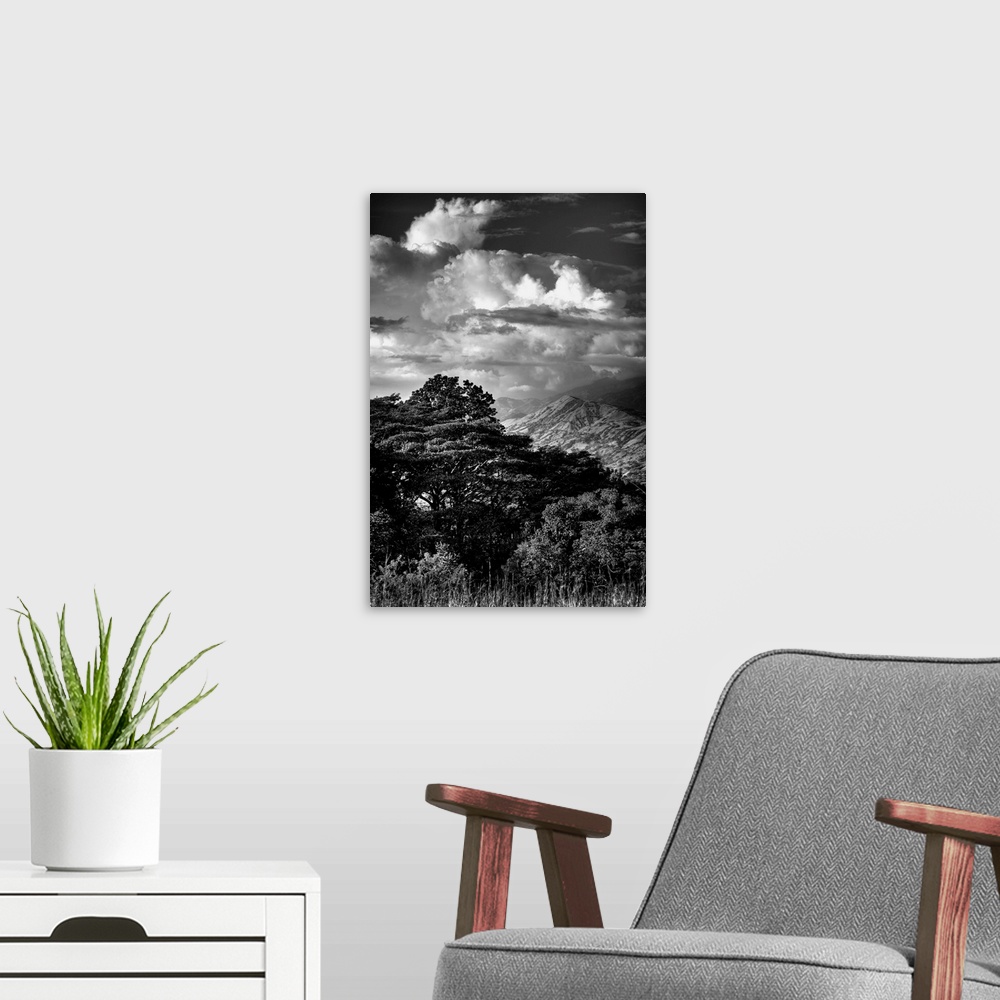A modern room featuring Black and white photograph of dramatic clouds hanging over a mountain peak.