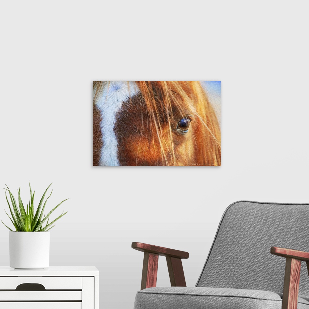 A modern room featuring Horse Eye