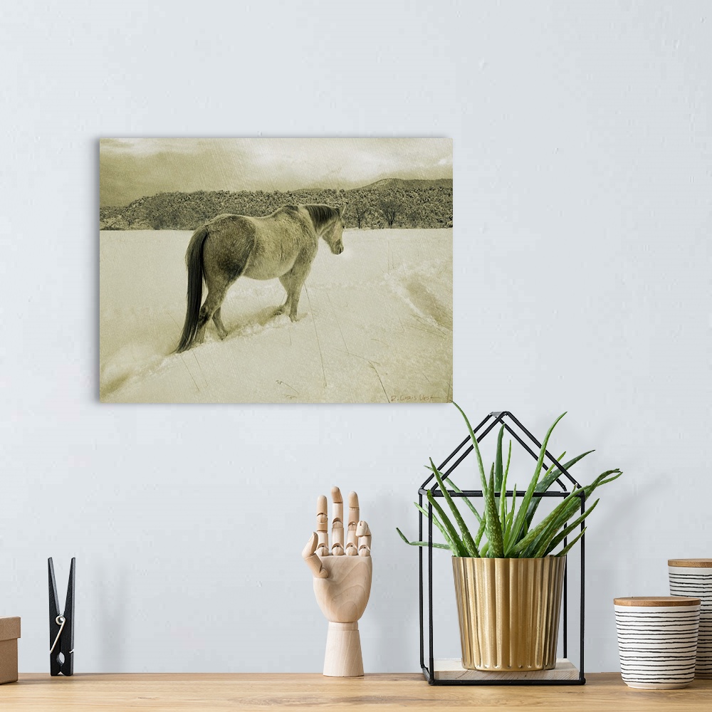 A bohemian room featuring Contemporary artwork of a lone white horse traipsing through cold wintry snow.