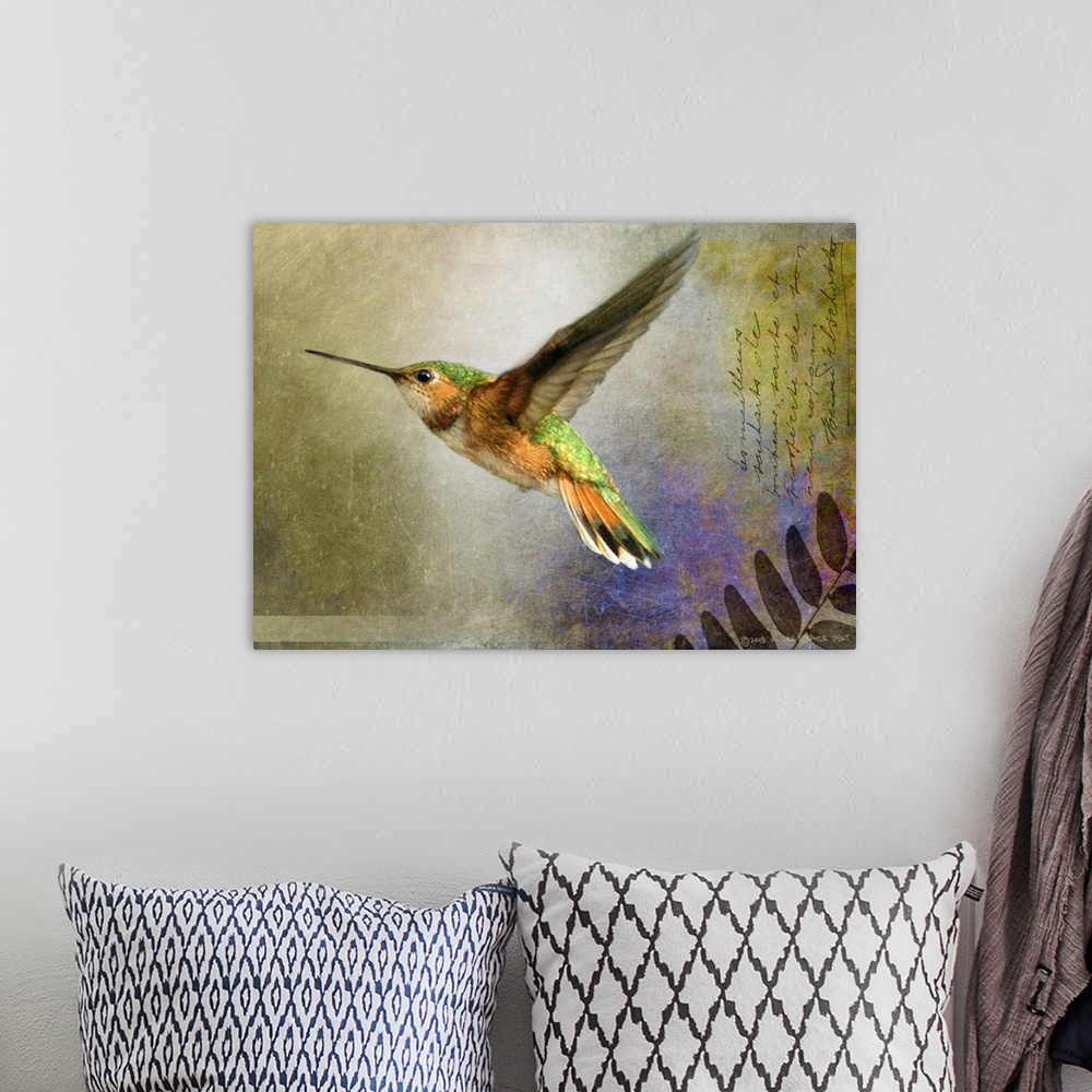 A bohemian room featuring Contemporary artwork of a hummingbird in mid flight.