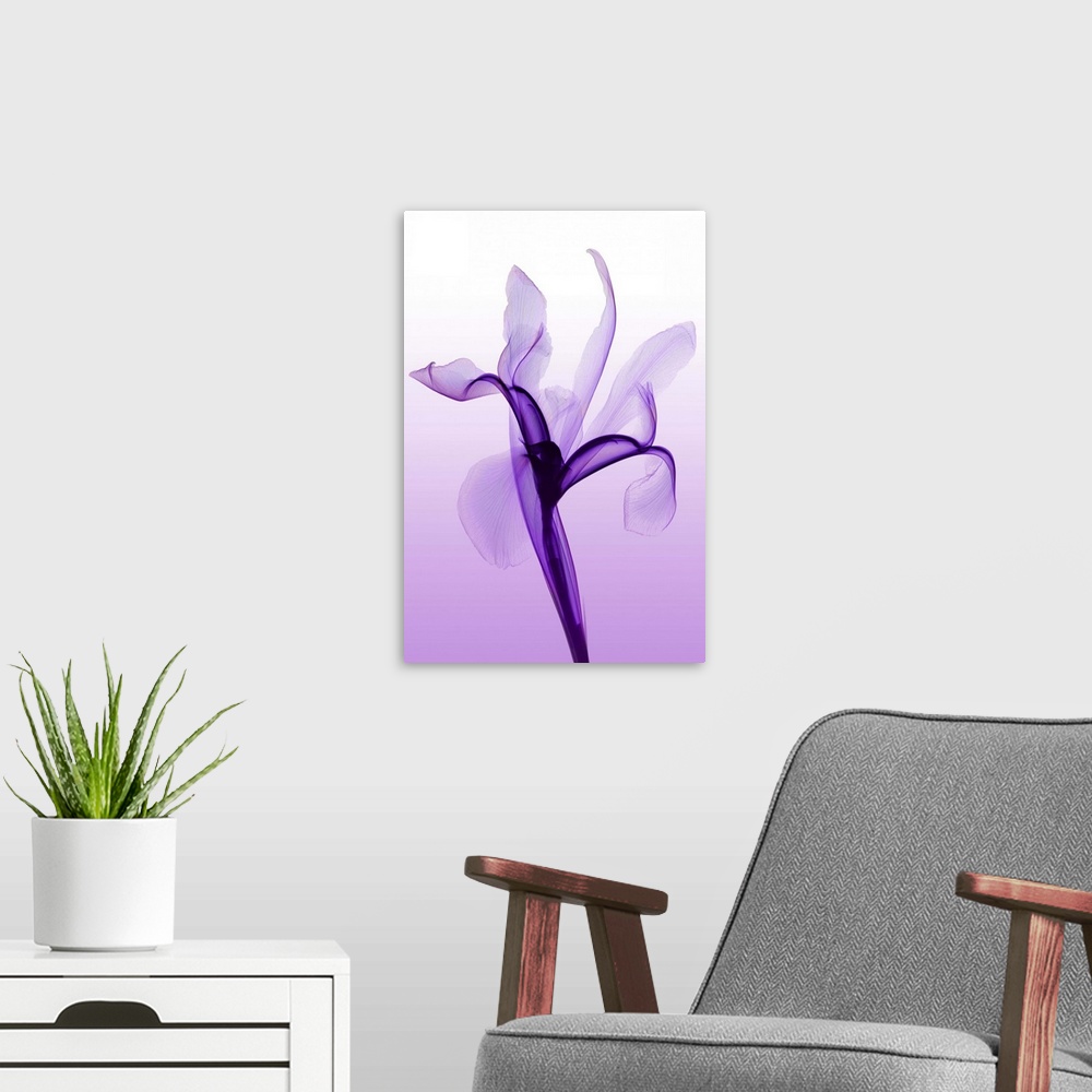 A modern room featuring Fine art photograph using an x-ray effect to capture an ethereal-like image of an iris.