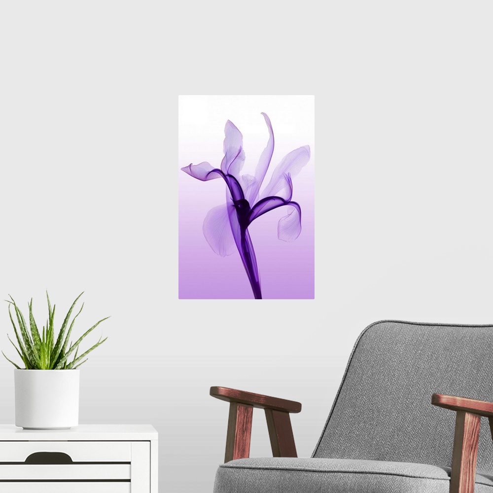 A modern room featuring Fine art photograph using an x-ray effect to capture an ethereal-like image of an iris.
