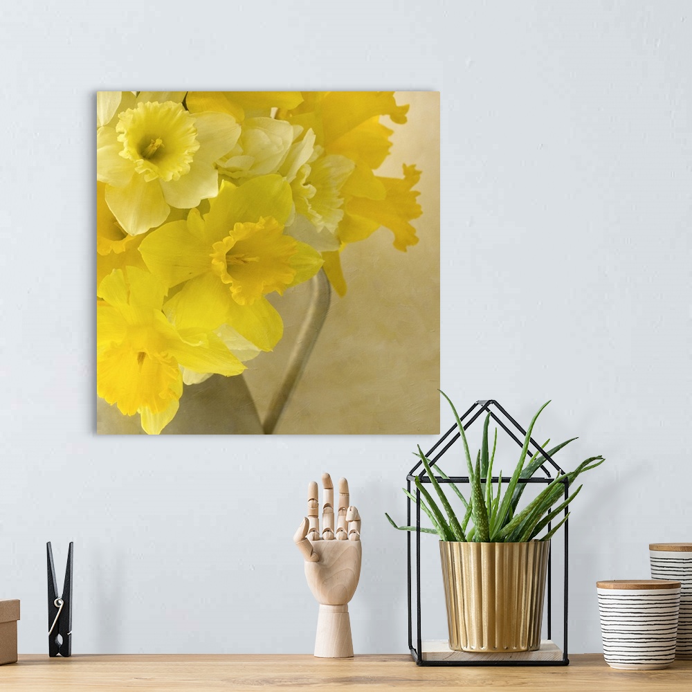 A bohemian room featuring Jug of Daffodils