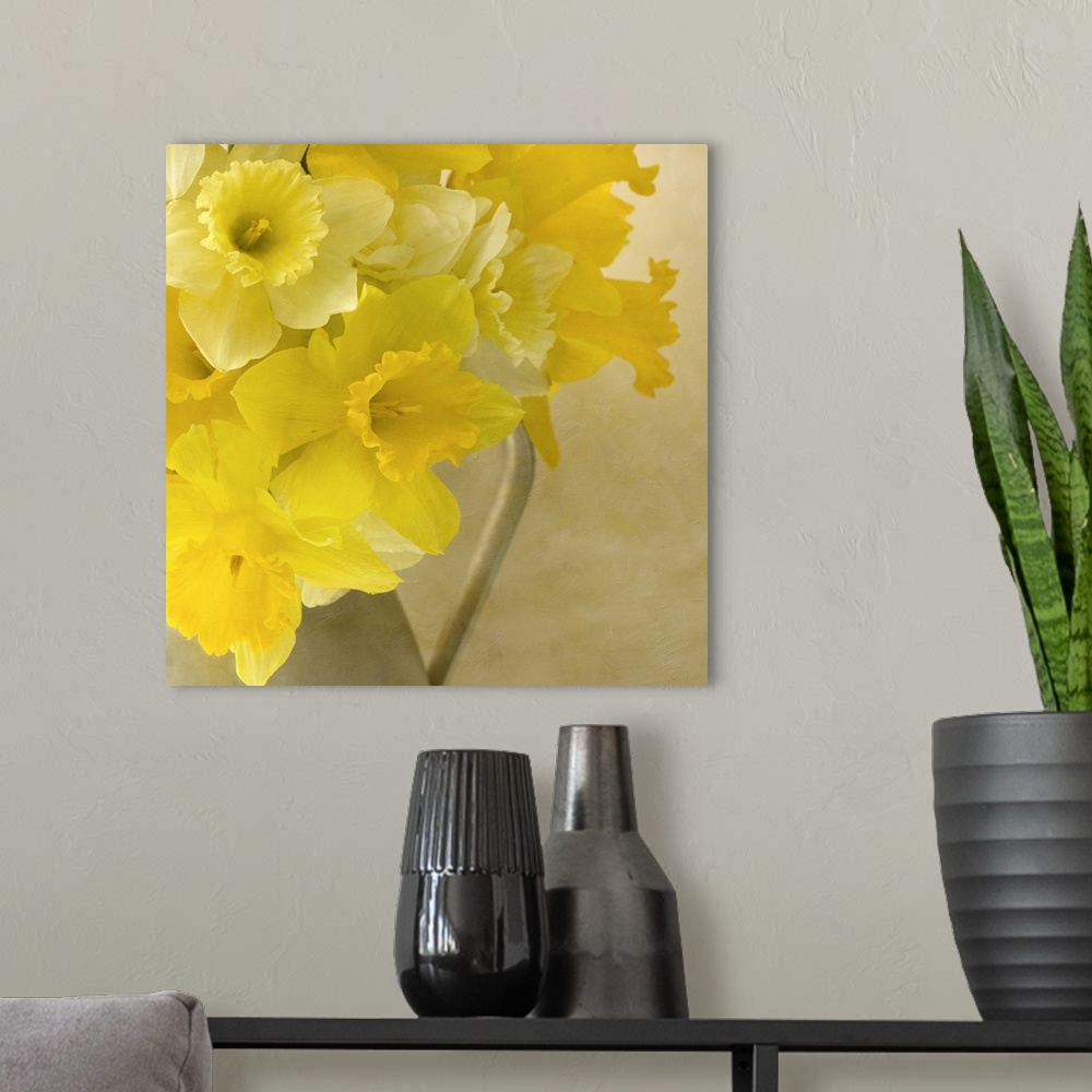 A modern room featuring Jug of Daffodils