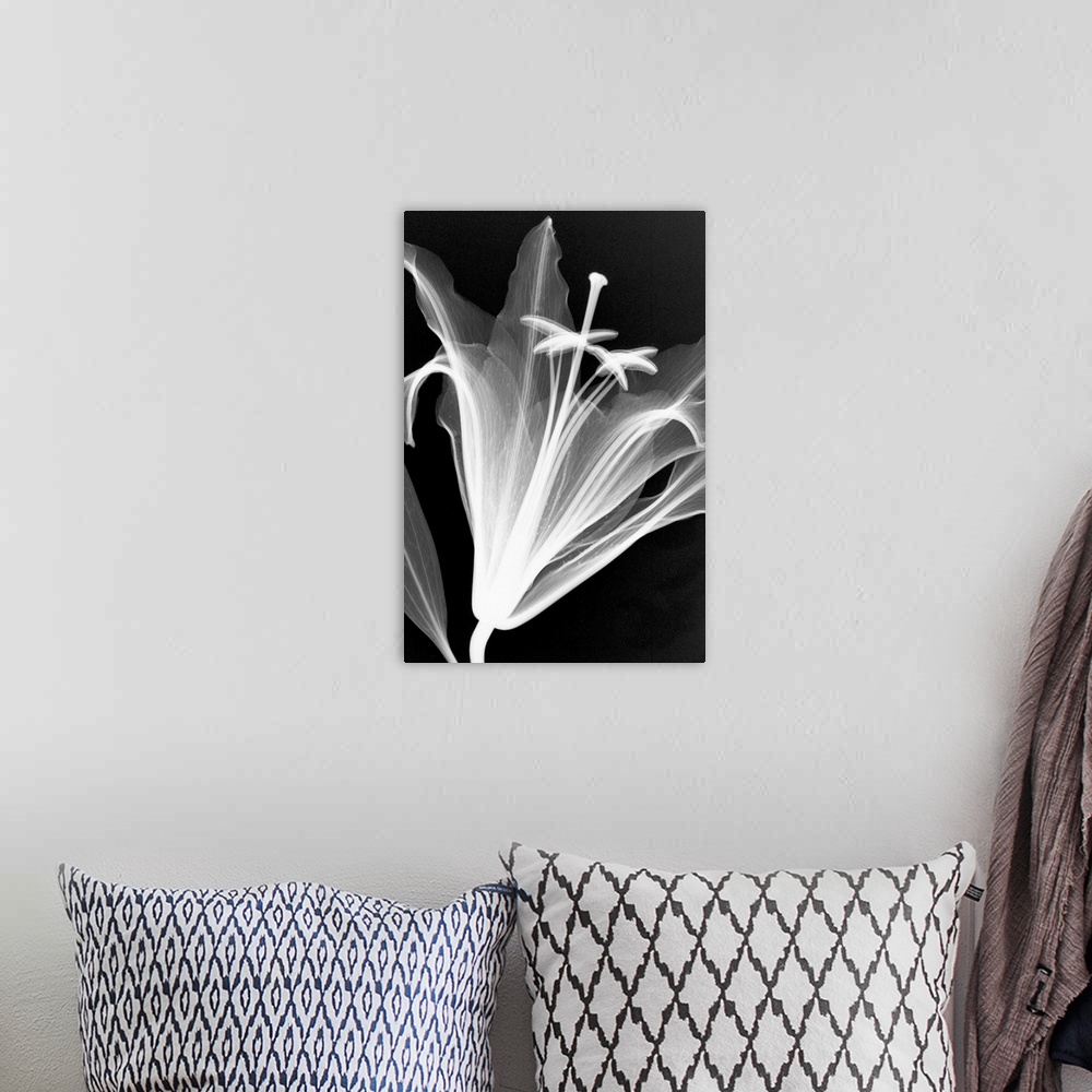 A bohemian room featuring Fine art photograph using an x-ray effect to capture an ethereal-like image of a lily.