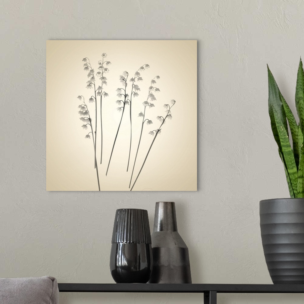 A modern room featuring Lily of the Valley Sepia