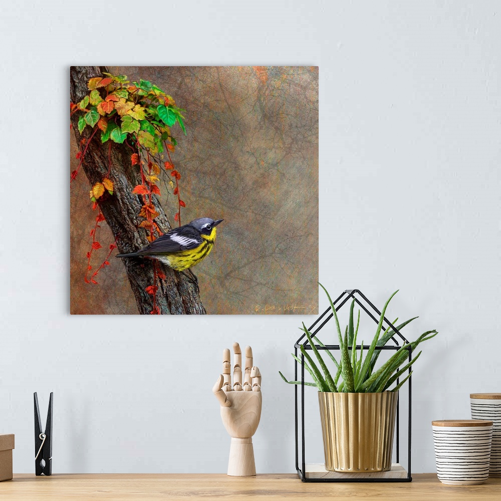 A bohemian room featuring Contemporary artwork of a magnolia warbler perched on a tree.