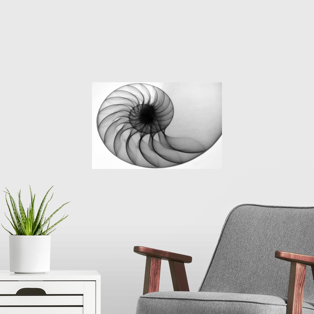 A modern room featuring Nautilus