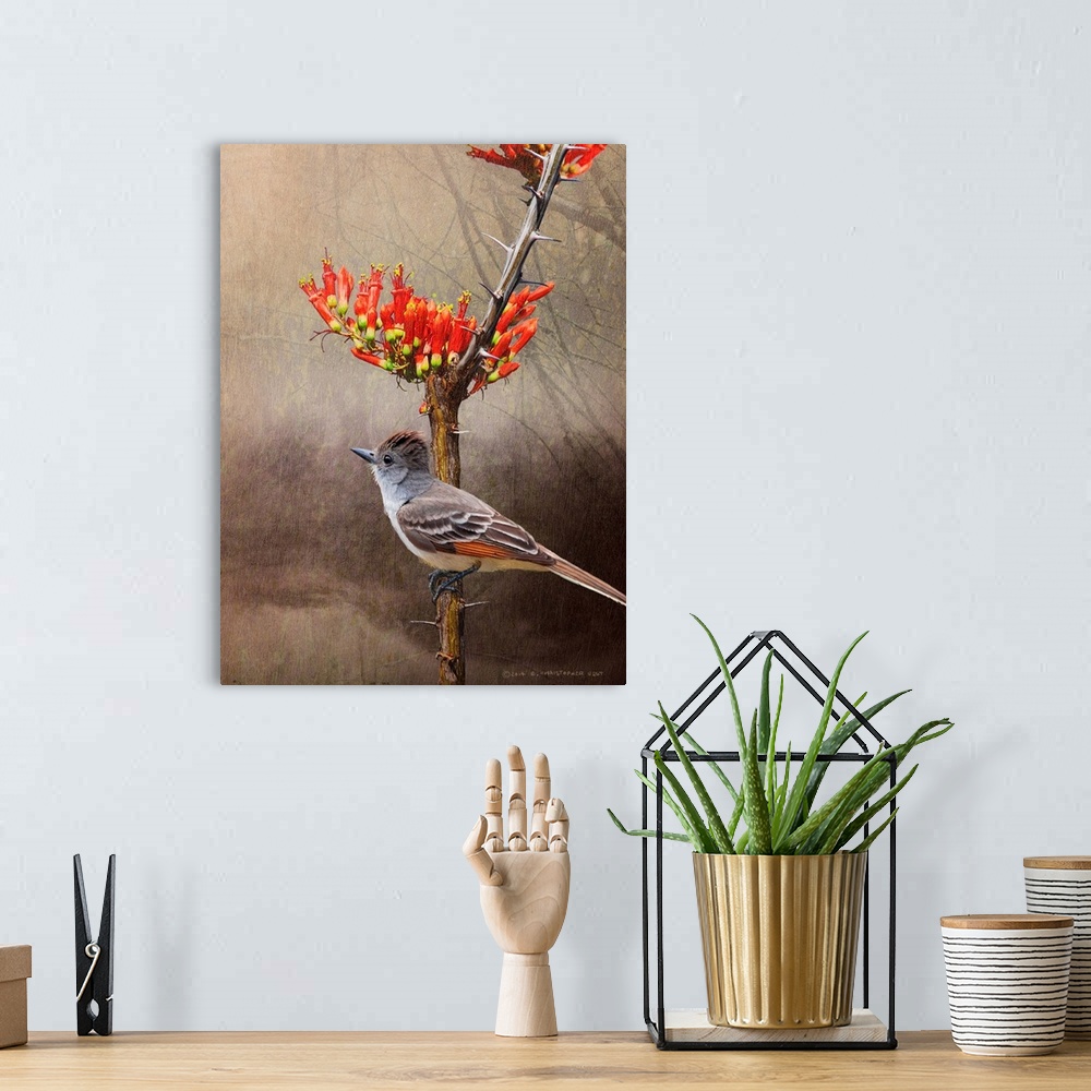 A bohemian room featuring Contemporary artwork of a flycatcher perched on a tree branch.