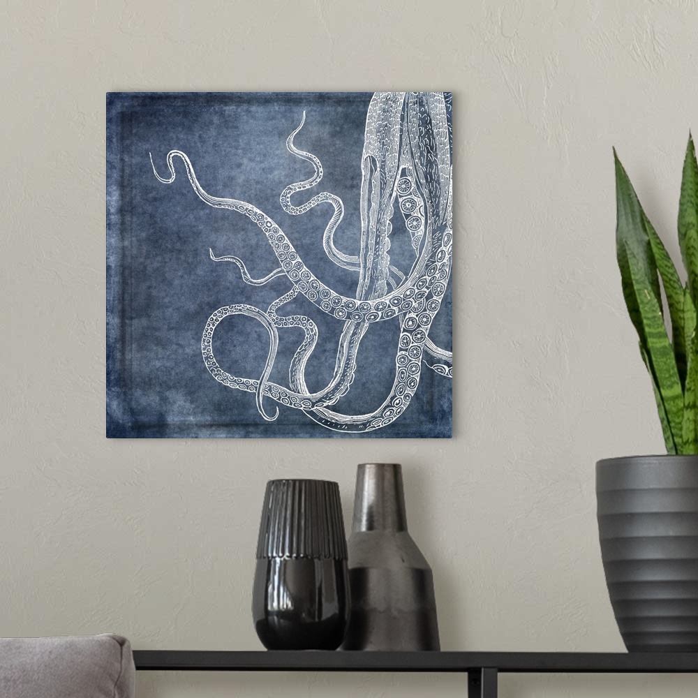 A modern room featuring Distressed watercolor collaged with 19th century octopus illustration in white, denim, midnight b...