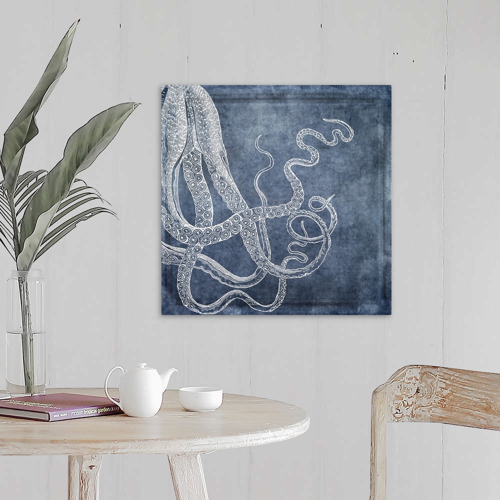 A farmhouse room featuring Distressed watercolor collaged with 19th century octopus illustration in white, denim, midnight b...