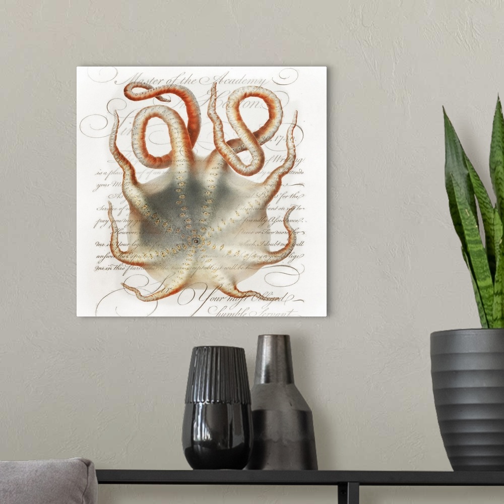 A modern room featuring A vintage paint brush rendition of Velodona octopus illustration from Deutschen Tiefsee-Expeditio...