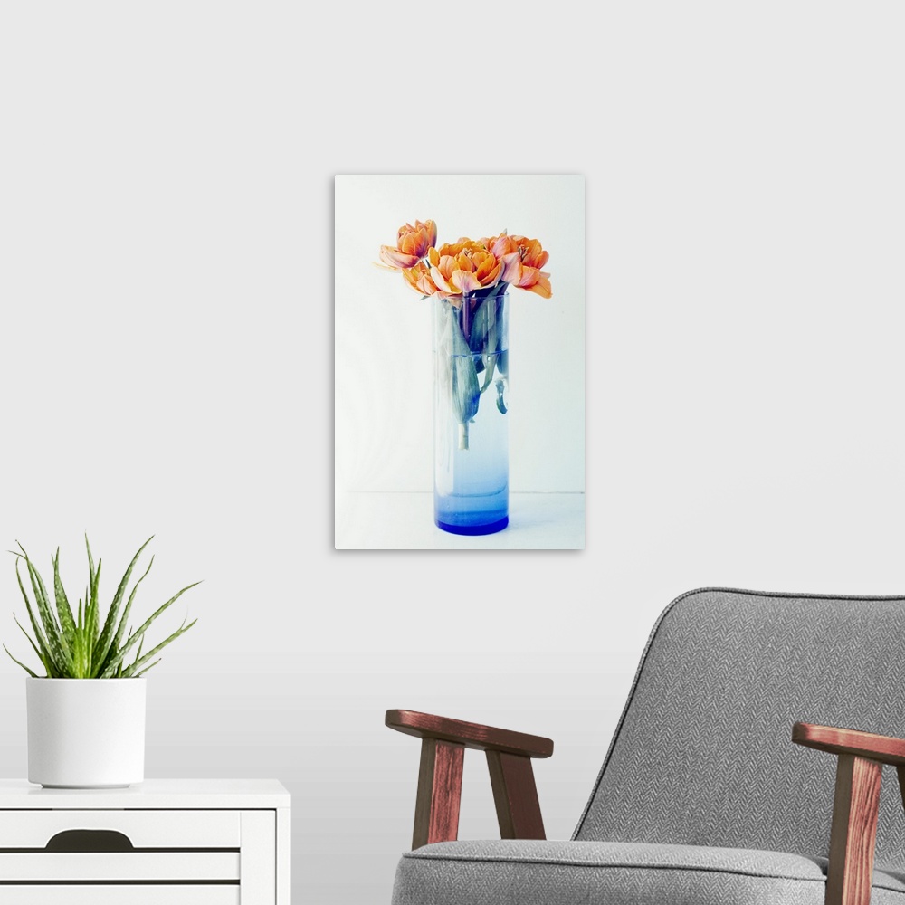A modern room featuring Orange Tulips in a Blue Vase