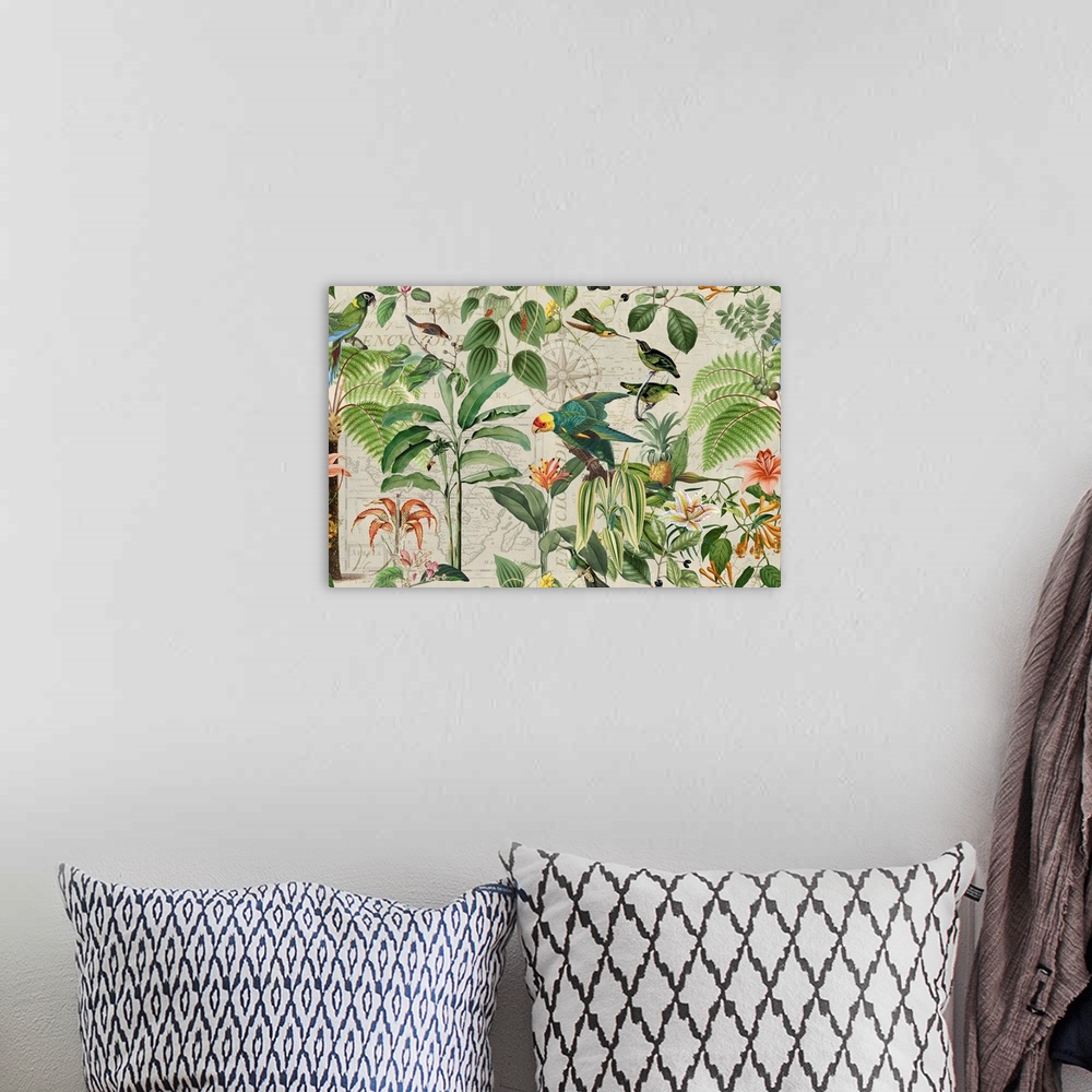 A bohemian room featuring Vintage style illustration with vintage map, parrots, hummingbirds, and tropical plants.