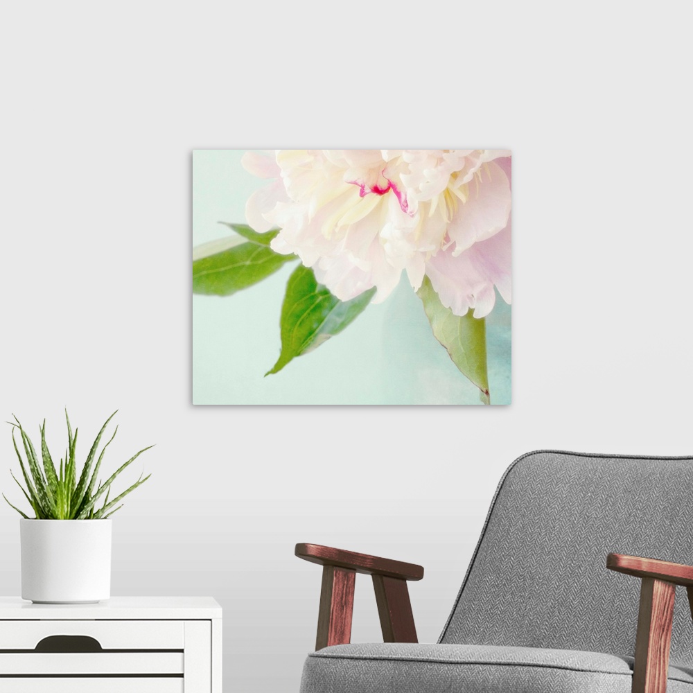 A modern room featuring Peony Flower