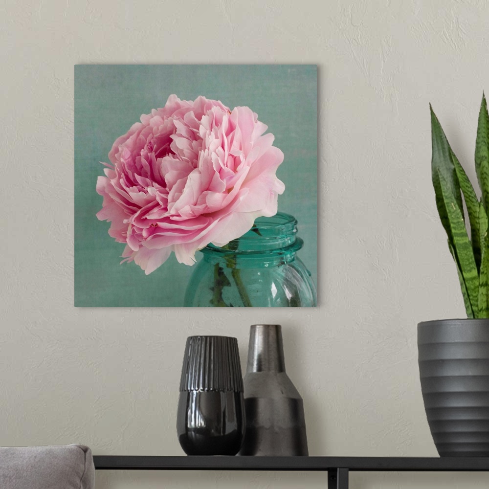A modern room featuring Peony IV