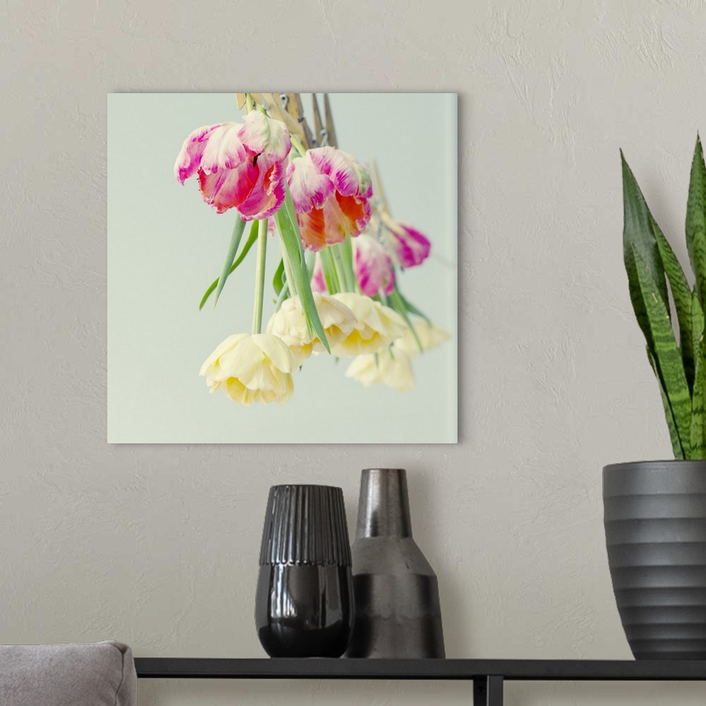 A modern room featuring Pink and Yellow Tulips