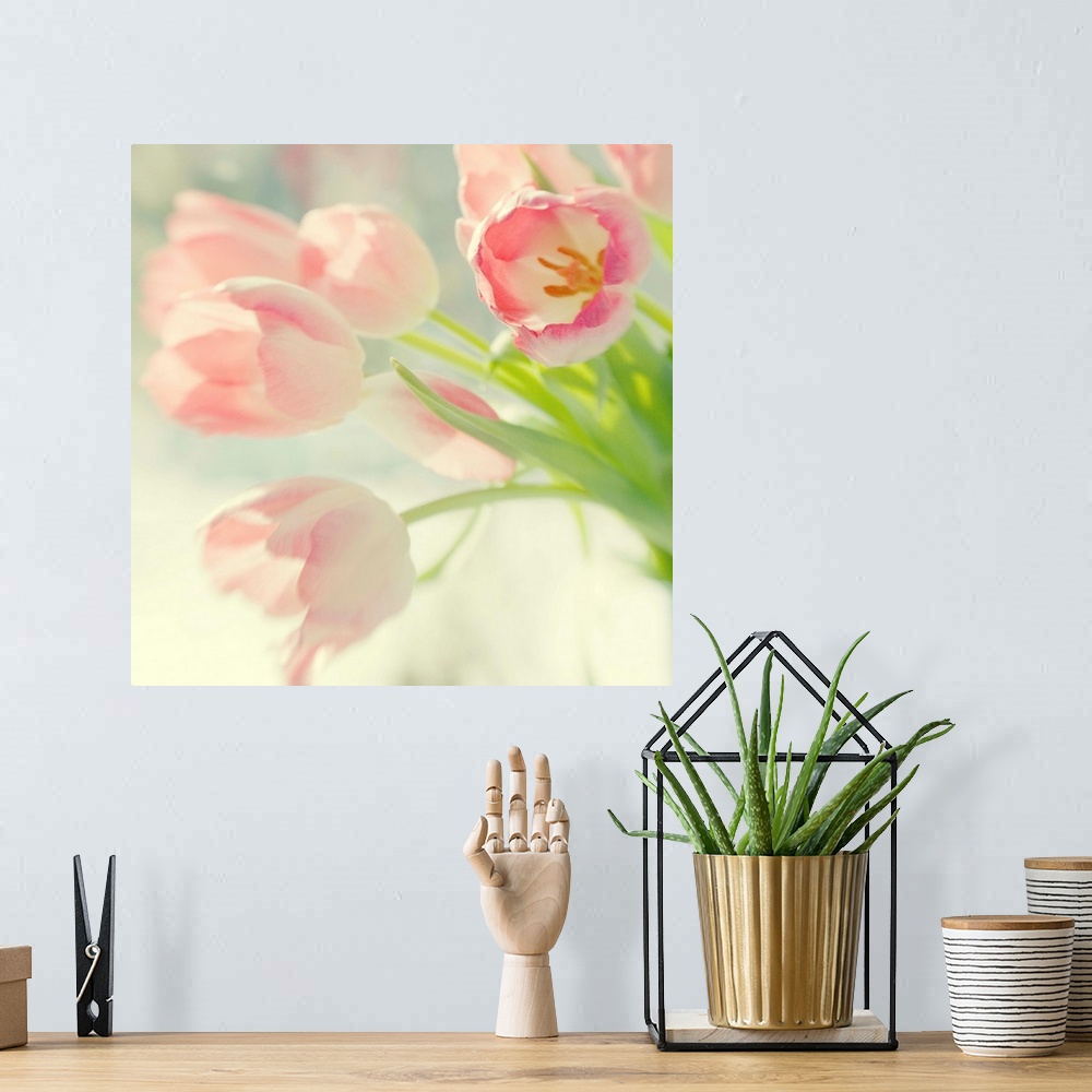 A bohemian room featuring Pink Tulips