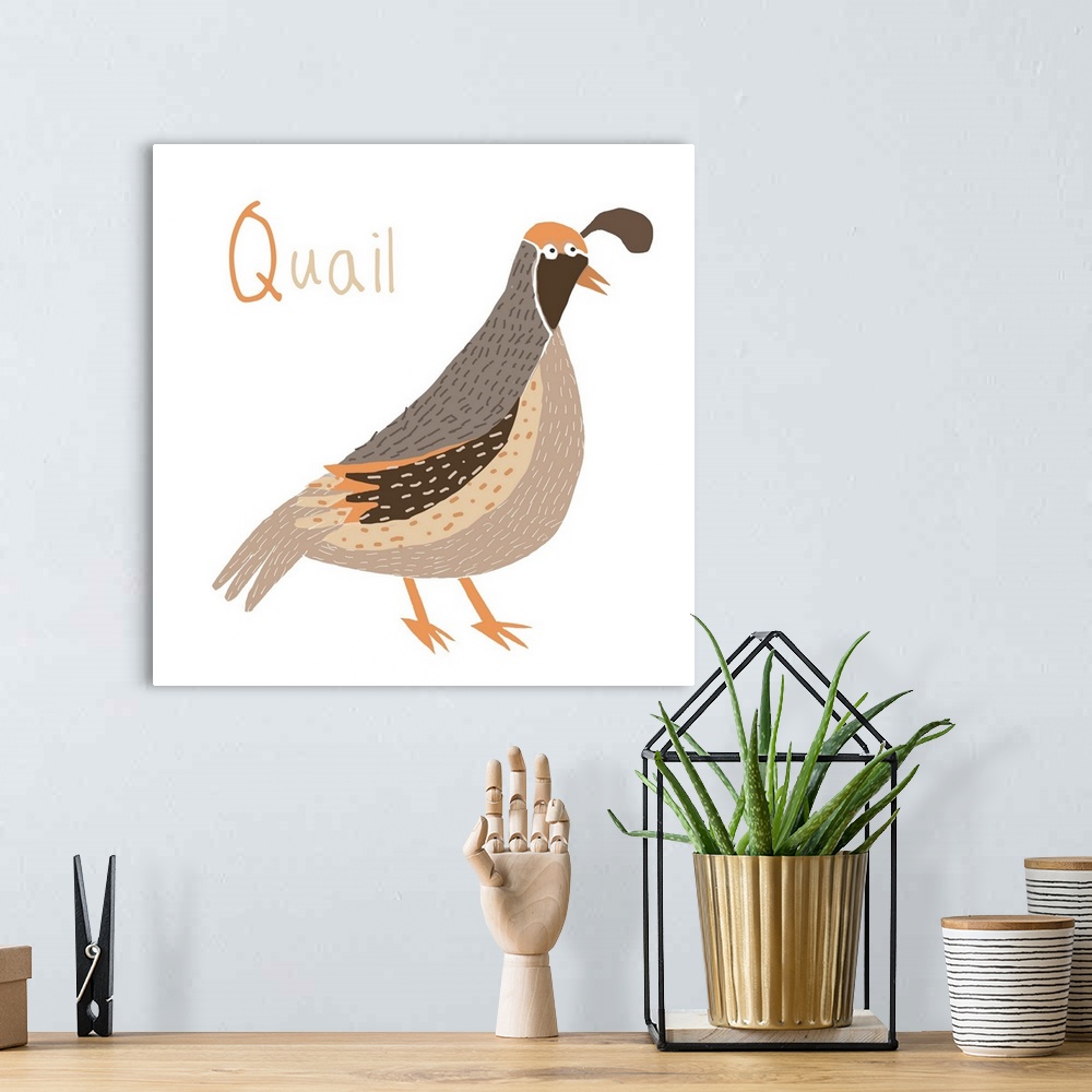 A bohemian room featuring Q for Quail