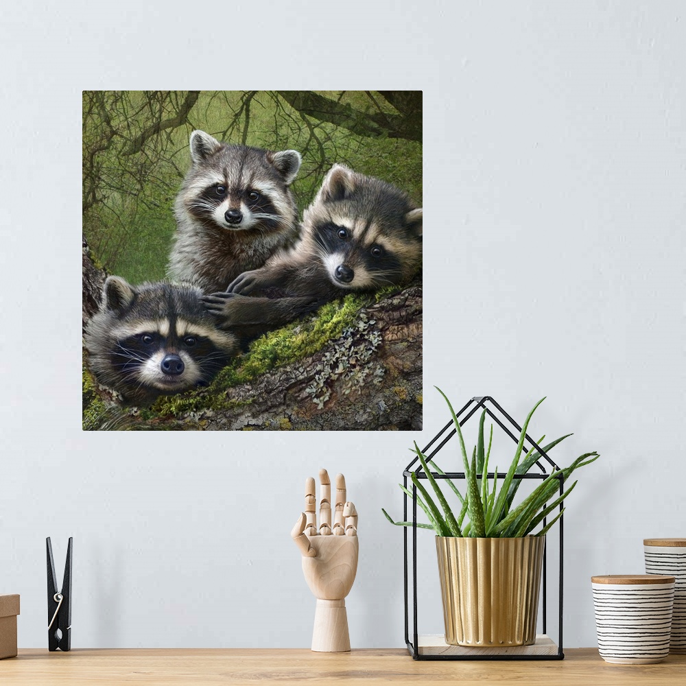A bohemian room featuring Contemporary artwork of three young raccoon in a forest.