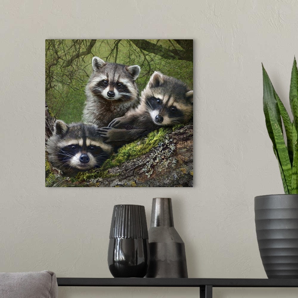 A modern room featuring Contemporary artwork of three young raccoon in a forest.