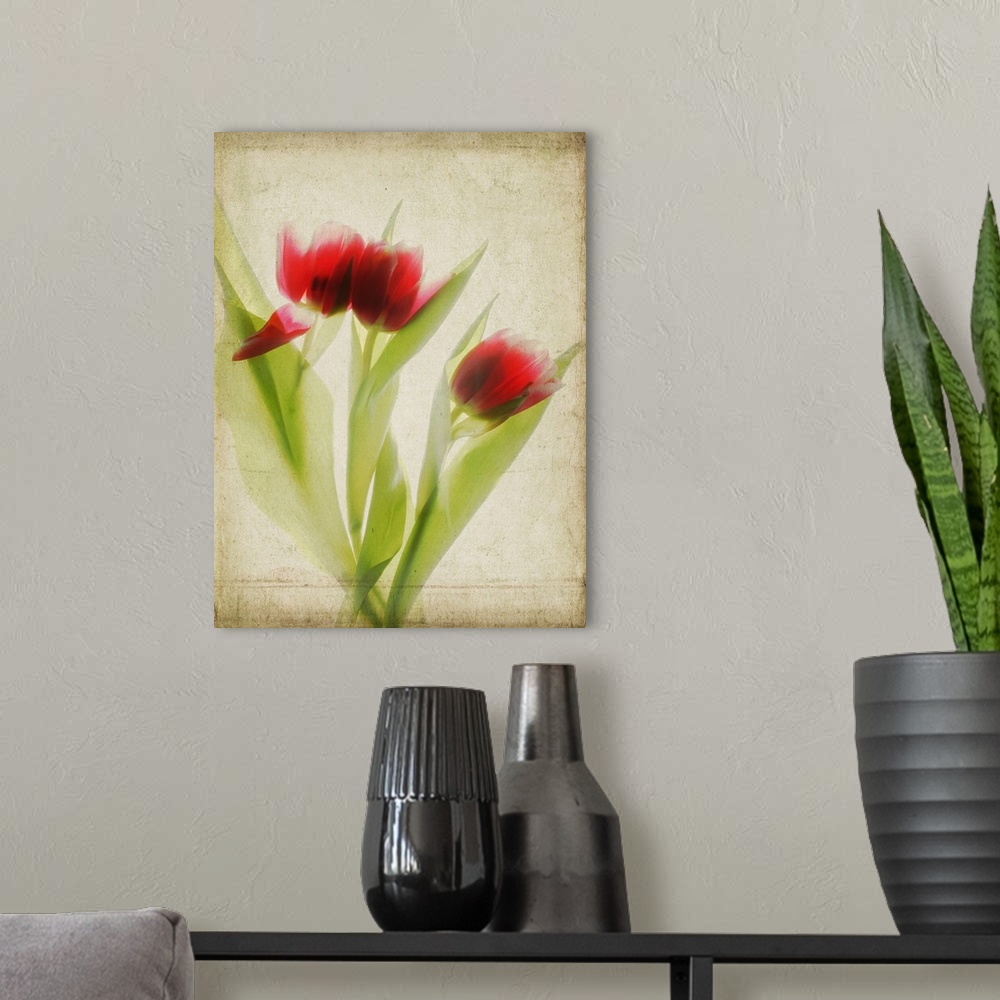 A modern room featuring Red Tulips III