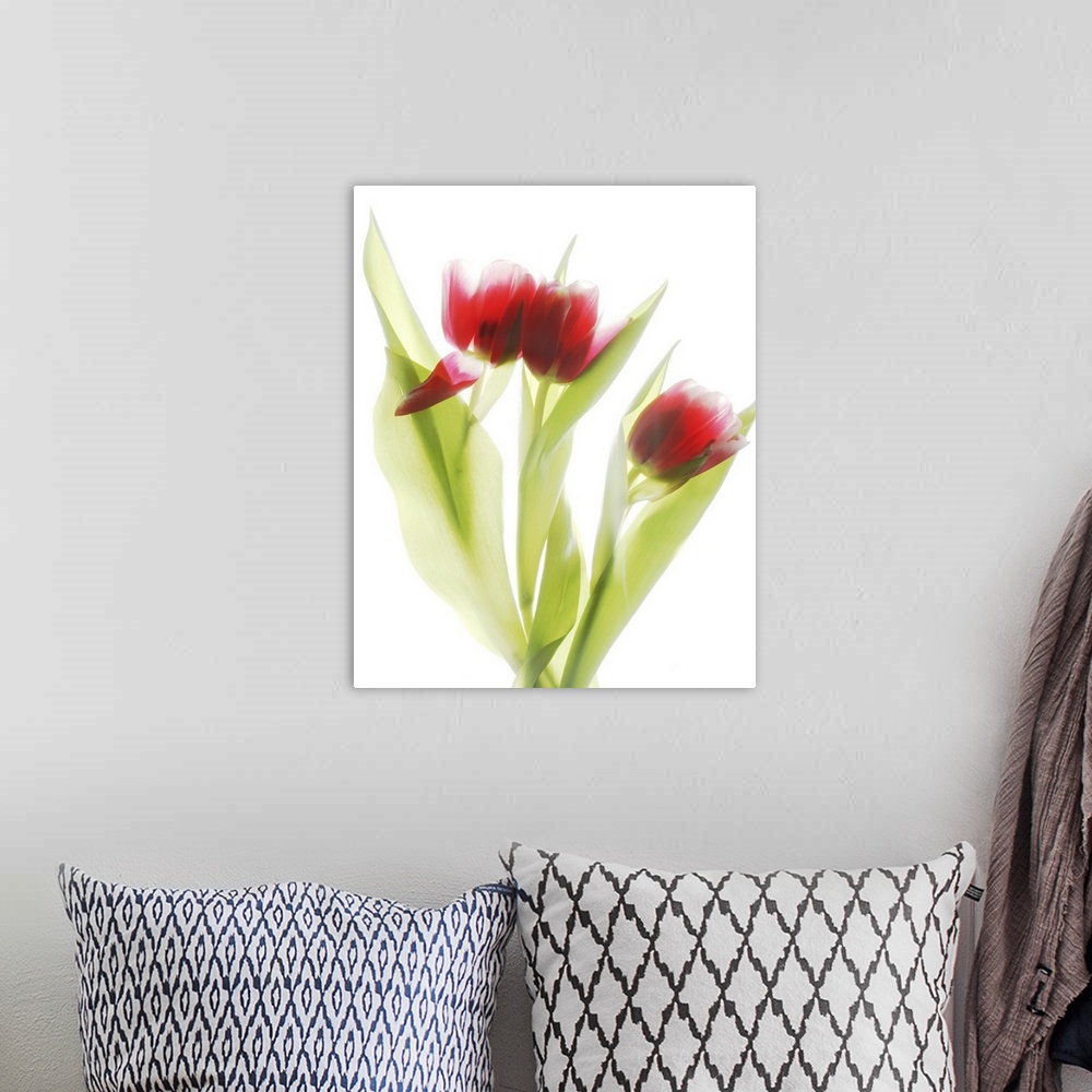 A bohemian room featuring Red Tulips IV