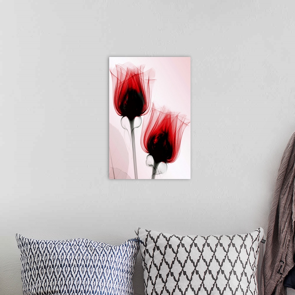 A bohemian room featuring Fine art photograph using an x-ray effect to capture an ethereal-like image of roses.