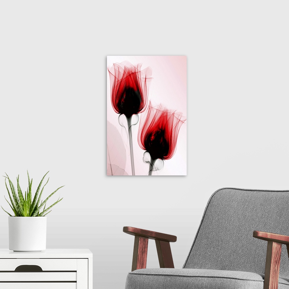 A modern room featuring Fine art photograph using an x-ray effect to capture an ethereal-like image of roses.