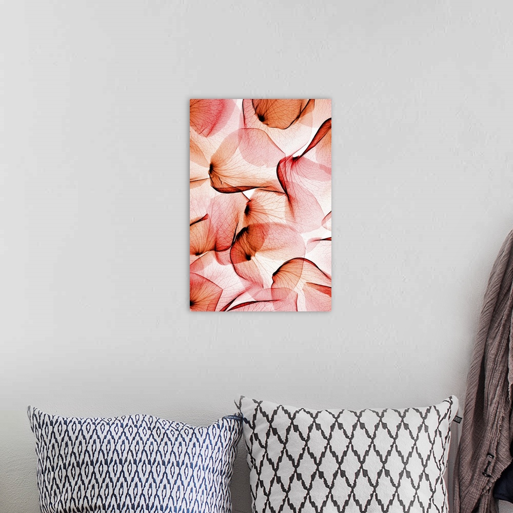 A bohemian room featuring Fine art photograph using an x-ray effect to capture an ethereal-like image of rose petals.