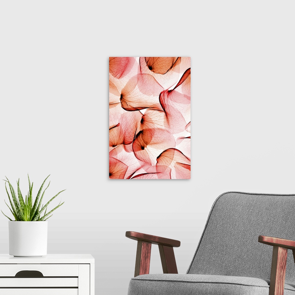 A modern room featuring Fine art photograph using an x-ray effect to capture an ethereal-like image of rose petals.