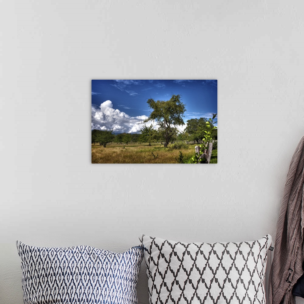 A bohemian room featuring HDR photograph of a tranquil countryside landscape.