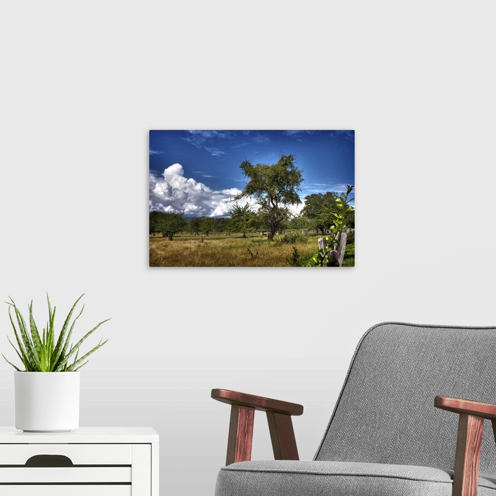 A modern room featuring HDR photograph of a tranquil countryside landscape.