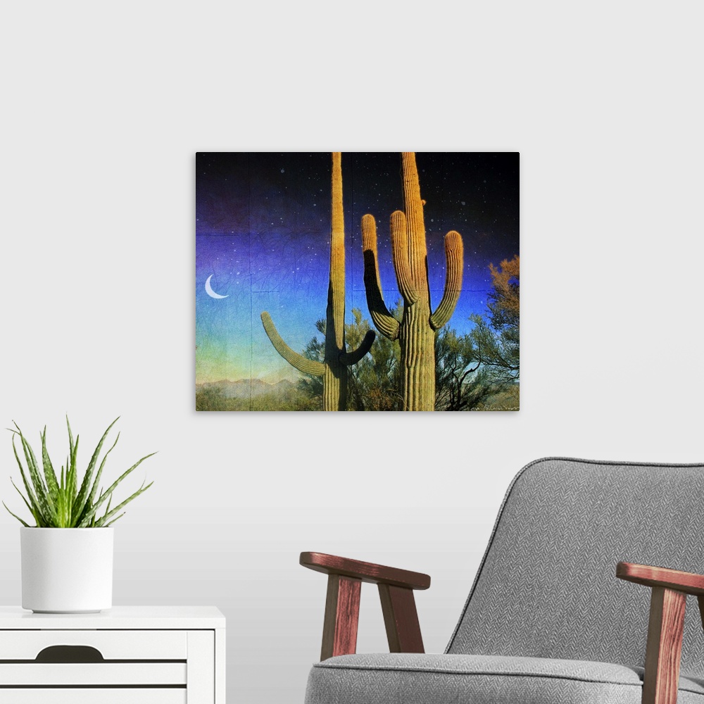 A modern room featuring Saguaro Scape