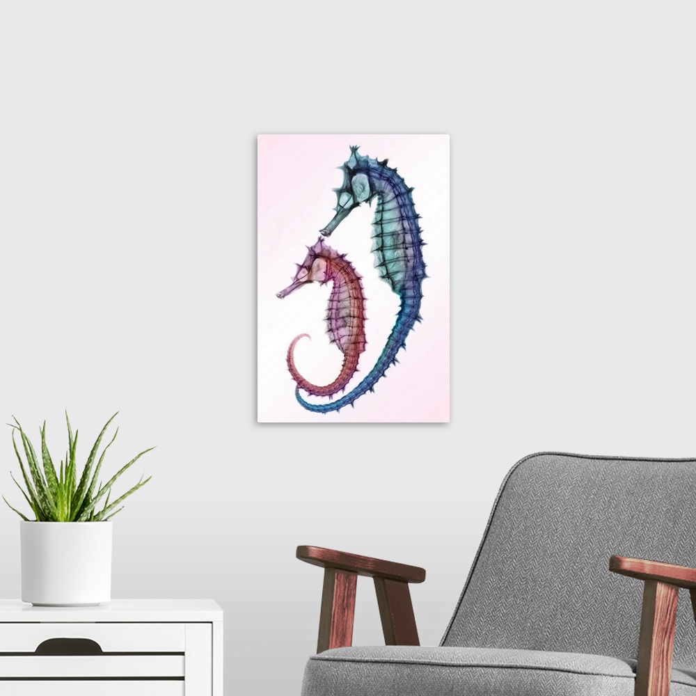 A modern room featuring Fine art photograph using an x-ray effect to capture an ethereal-like image of seahorses.