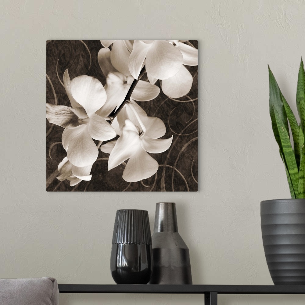 A modern room featuring Sepia Orchid