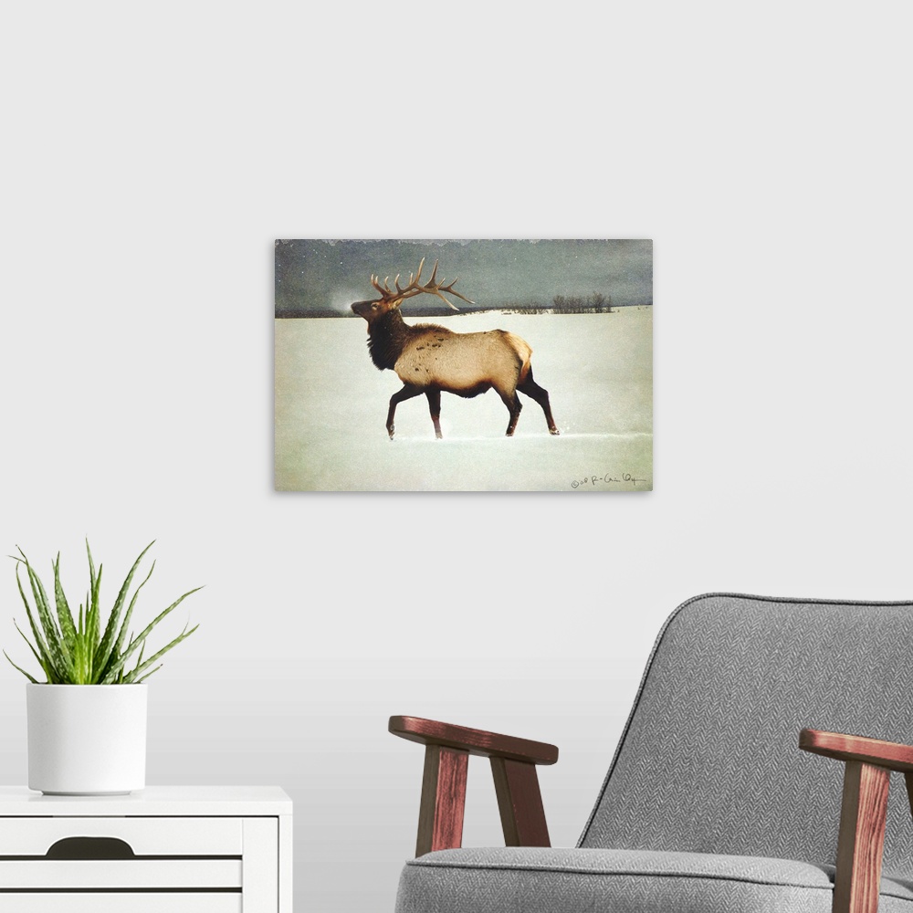 A modern room featuring Contemporary artwork of an elk standing in a snowy field.