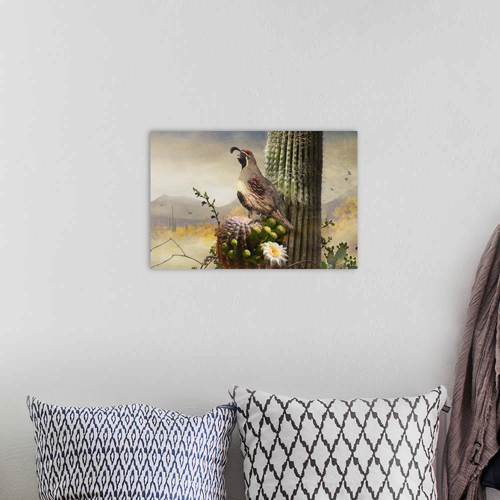 A bohemian room featuring Contemporary artwork of a quail perched on a desert cactus.