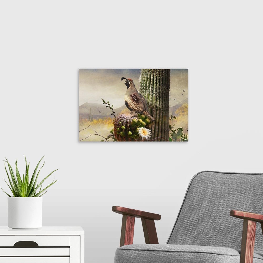 A modern room featuring Contemporary artwork of a quail perched on a desert cactus.