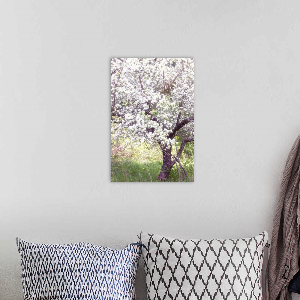 A bohemian room featuring Spring Blossoms