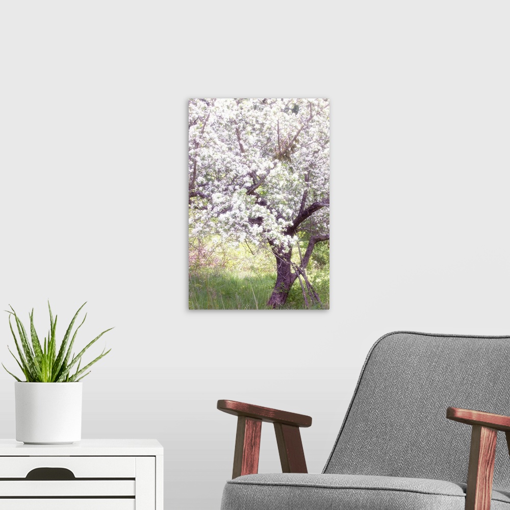 A modern room featuring Spring Blossoms