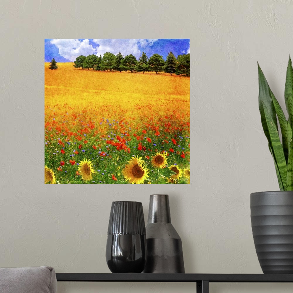 A modern room featuring Sunflower Field